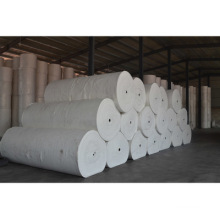 Vente chaude Chine fournisseur fil de polyester filament à longue fibre pour application / sbs